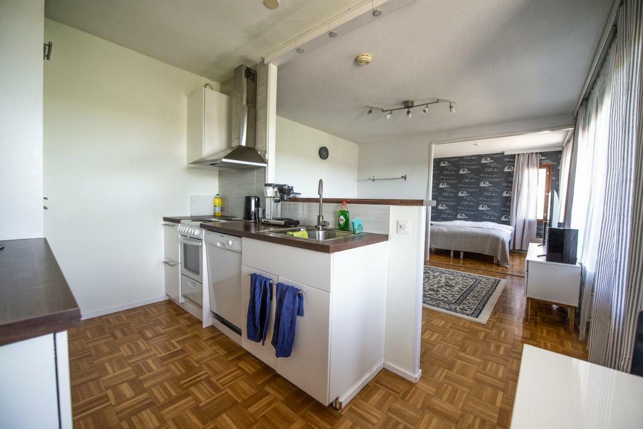 Mikkeli Citycenter Apartment With Sauna מראה חיצוני תמונה